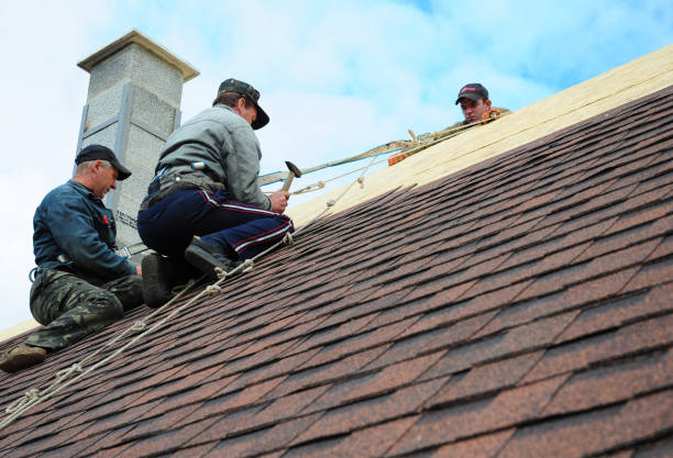 Best Roof Leak Repair  in Allentown, NJ
